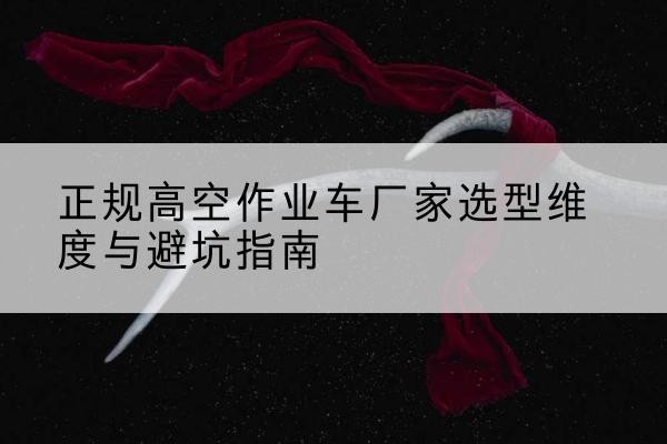巢湖高空作业车厂家-正规选型维度与避坑指南