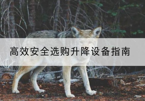 巢湖升降货梯厂家推荐-*安全选购升降设备指南