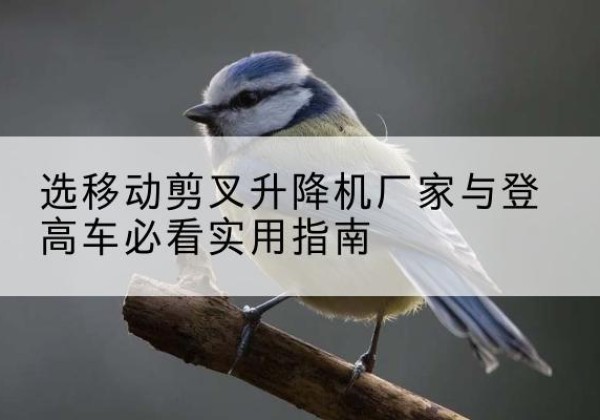 巢湖电动升降机厂家-选移动剪叉升降机厂家与登高车必看实用指南
