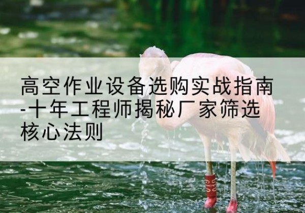 巢湖剪叉式升降机厂家-高空作业设备选购实战指南-十年工程师揭秘厂家筛选核心法则