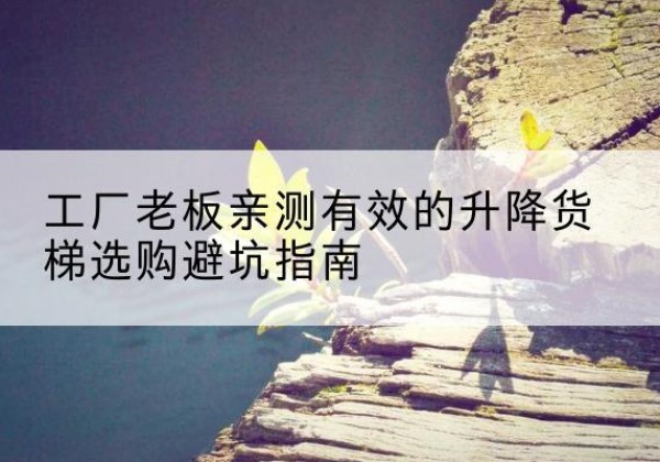 巢湖升降货梯怎么选-工厂老板亲测有效的升降货梯选购避坑指南